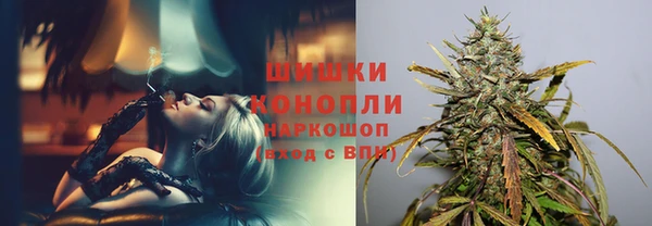 PSILOCYBIN Балабаново