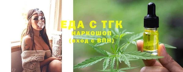 индика Балахна