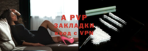 PSILOCYBIN Балабаново