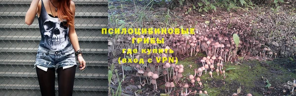 PSILOCYBIN Балабаново