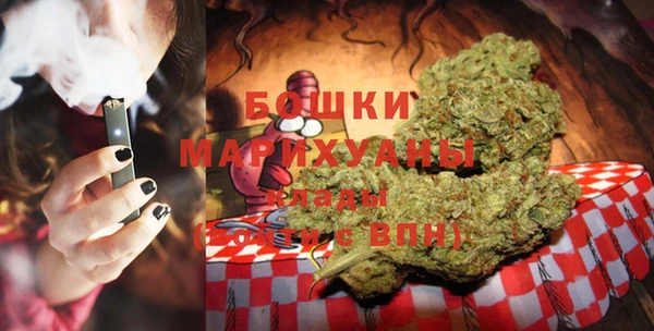 индика Балахна
