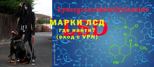 индика Балахна