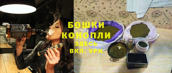 PSILOCYBIN Балабаново