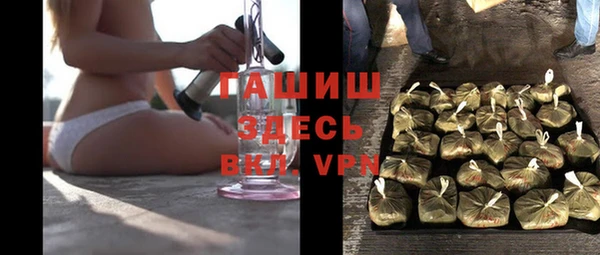 индика Балахна
