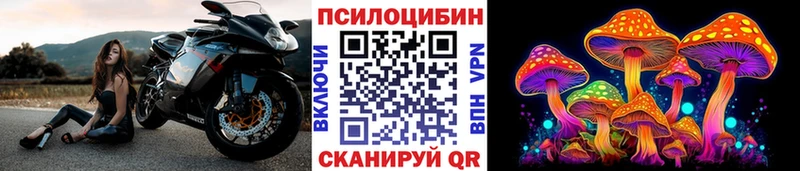Псилоцибиновые грибы Magic Shrooms Хасавюрт