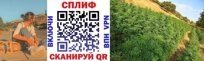 продажа наркотиков  Хасавюрт  кракен зеркало  Бошки Шишки LSD WEED 